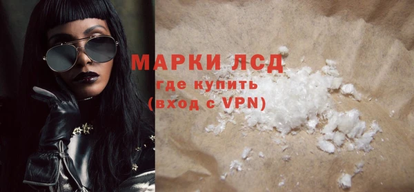 шишки Медвежьегорск
