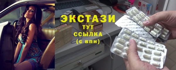 индика Мегион