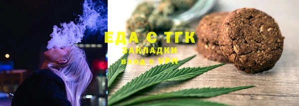 индика Мегион