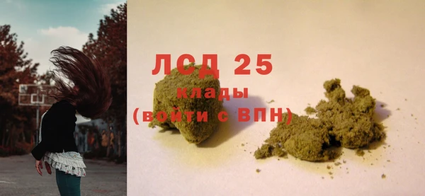 шишки Медвежьегорск