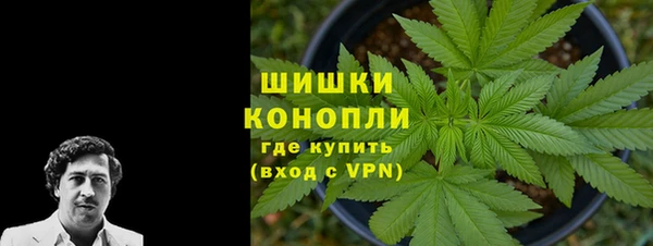 шишки Медвежьегорск