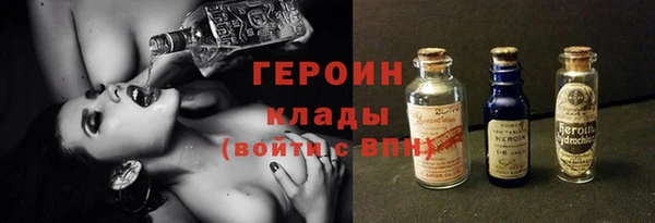 шишки Медвежьегорск