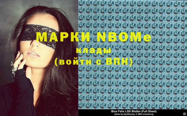 индика Мегион