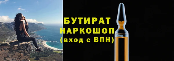 индика Мегион