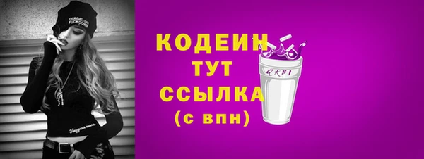 индика Мегион