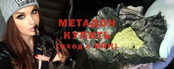 индика Мегион