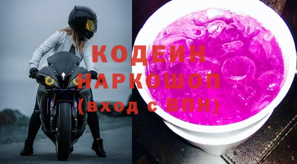шишки Медвежьегорск