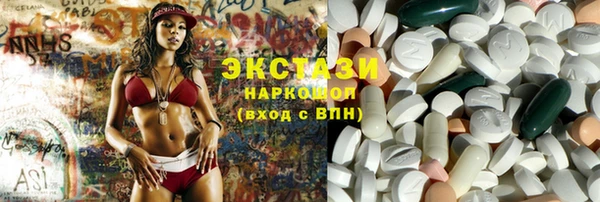 индика Мегион