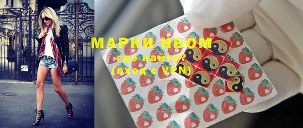 индика Мегион
