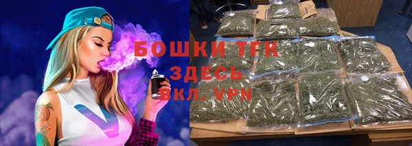 шишки Медвежьегорск