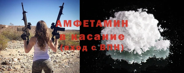 шишки Медвежьегорск