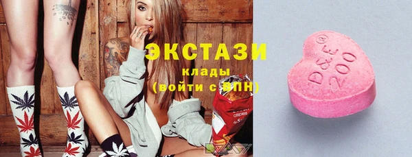 индика Мегион