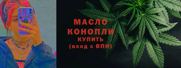 шишки Медвежьегорск