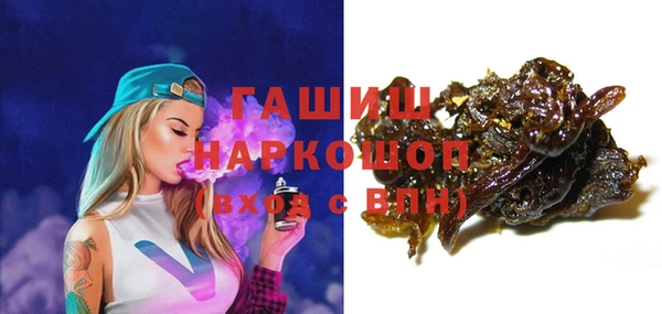 индика Мегион