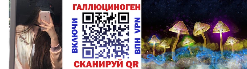 Галлюциногенные грибы Psilocybine cubensis  Малаховка 